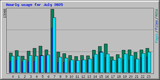 Hourly usage for July 2025